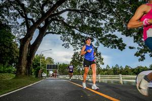 BIB: 
                            <button type="button" onclick="openModal(26537397)" class="btn btn-primary btn-sm float-right btn-popup" data-toggle="modal" data-target=".modal-high-quality">
                        <i class="fas fa-shopping-cart"></i> Add to Cart
                    </button>
                                            <button type="button" onclick="isThisMe(26537397, true)" class="btn btn-success btn-sm float-right btn-popup btn-isme hidden" data-toggle="tooltip" data-placement="bottom" title="นี่คือรูปของคุณใช่ไหม คลิกที่นี่เพื่อเอาเข้าอัลบั้ม">
                        <i class="fas fa-plus"></i> Add to album
                    </button>
                    <button type="button" onclick="isThisMe(26537397, false)" class="btn btn-warning btn-sm float-right btn-popup btn-isnotme hidden">
                        <i class="fas fa-ban"></i> Remove from album
                    </button>